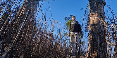 Dynamische Kaskadeneffekte und Rückkopplungen: Der Dominoeffekt